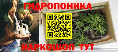 наркотики Дмитров