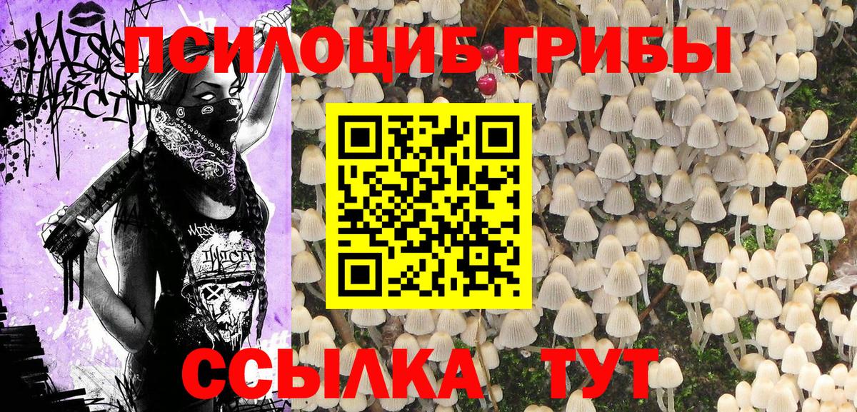 Галлюциногенные грибы Psilocybine cubensis Великий Устюг