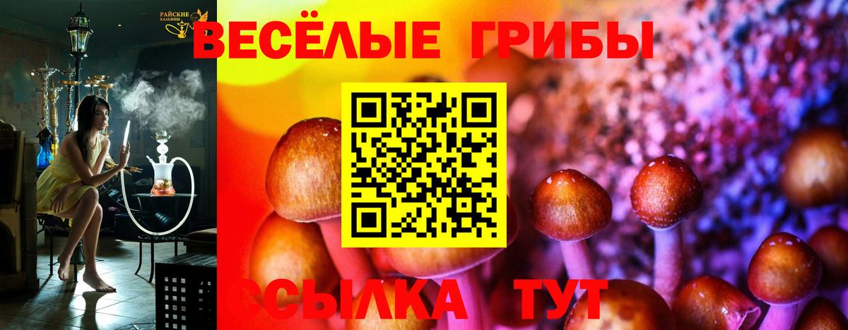 Великий Устюг  Псилоцибиновые грибы Magic Shrooms  Вход с VPN  Галлюциногенные грибы Psilocybine cubensis 